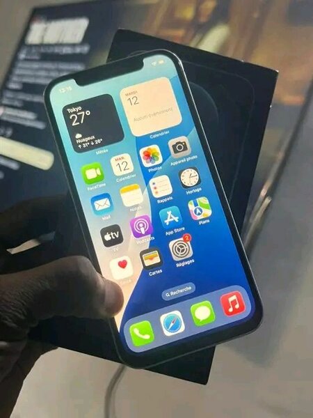 iPhone 12 pro max