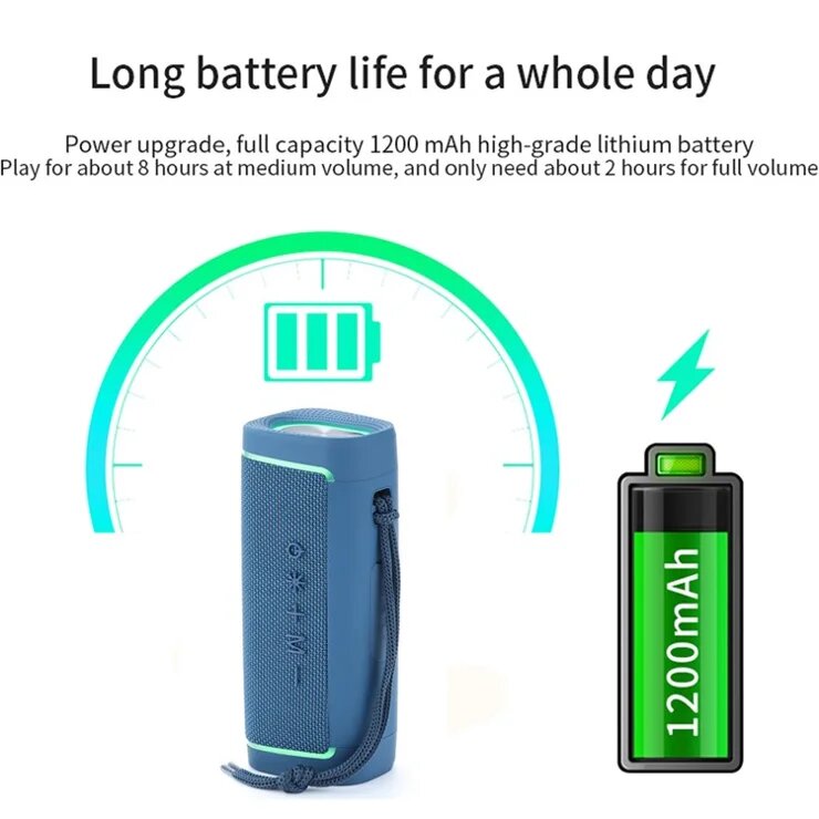 Enceinte Bluetooth Portable T&G