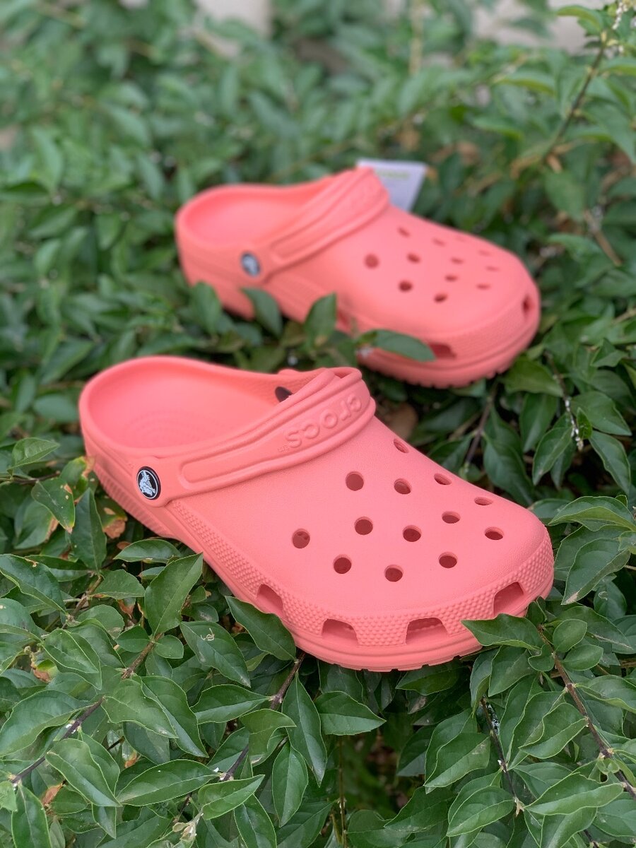 Classic crocs