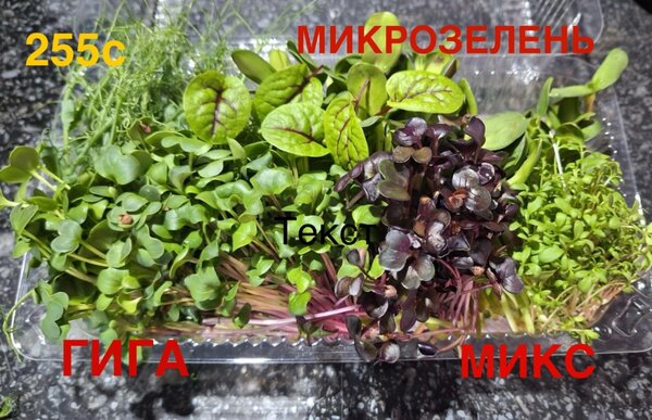 Гига Микс Микрозелень