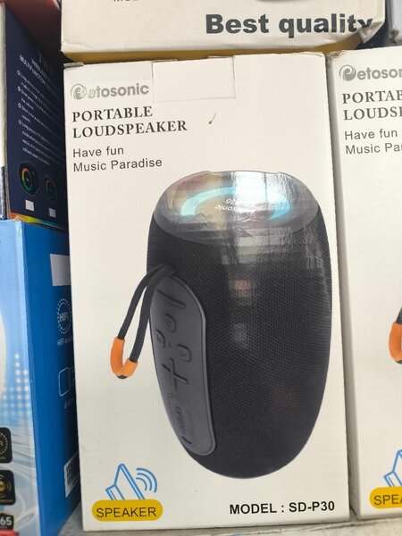 Haut-parleur portable SD-P30