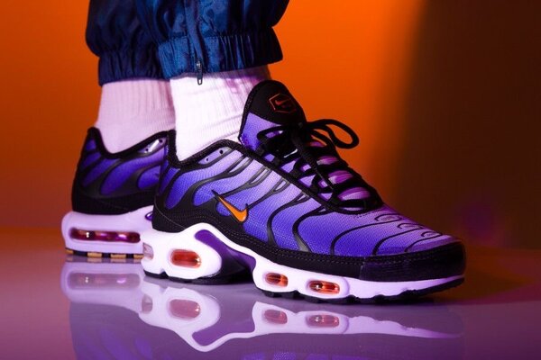 Chaussures de Sport Air Max