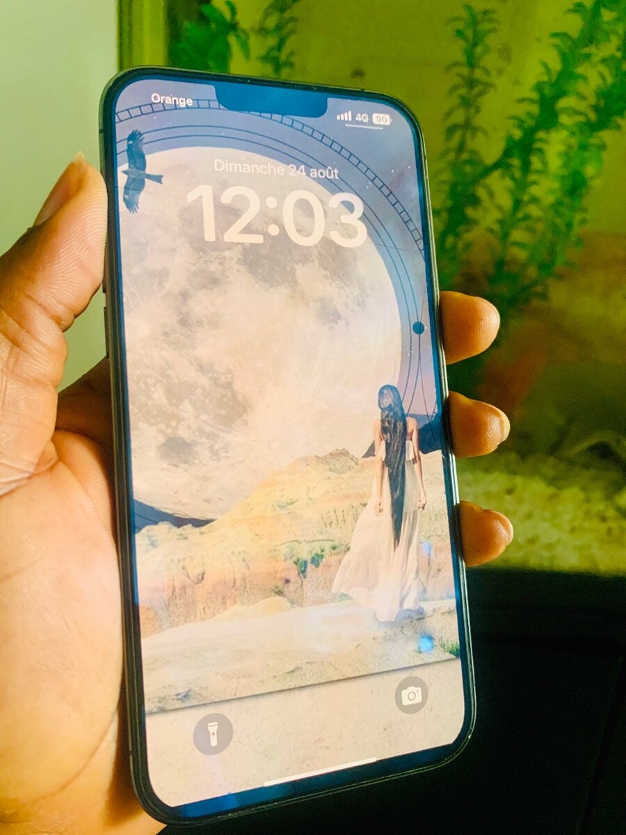 iPhone 13 Pro Max Gris