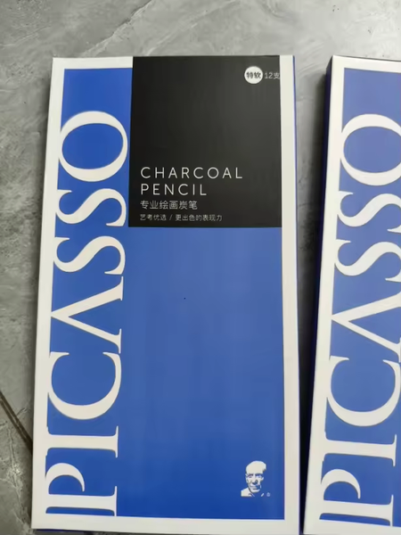 Crayons Fusains Picasso