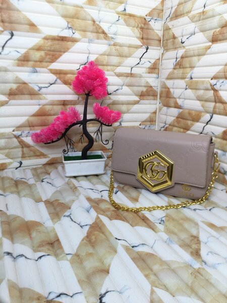 Ladies Elegant Handbag