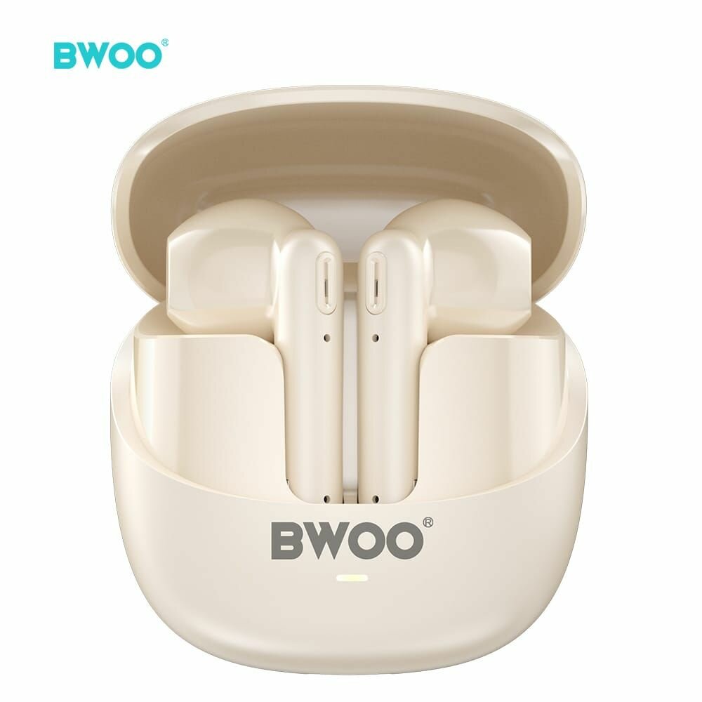 Écouteurs Bluetooth BWOO