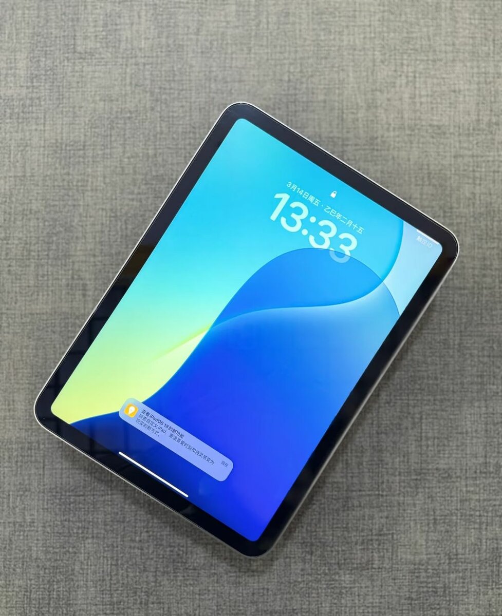 iPad 10th 256G WIFI Sliver 100% new