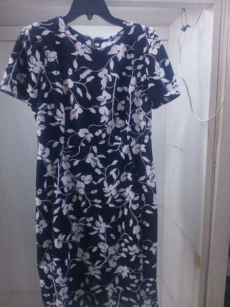 Ladies dress
