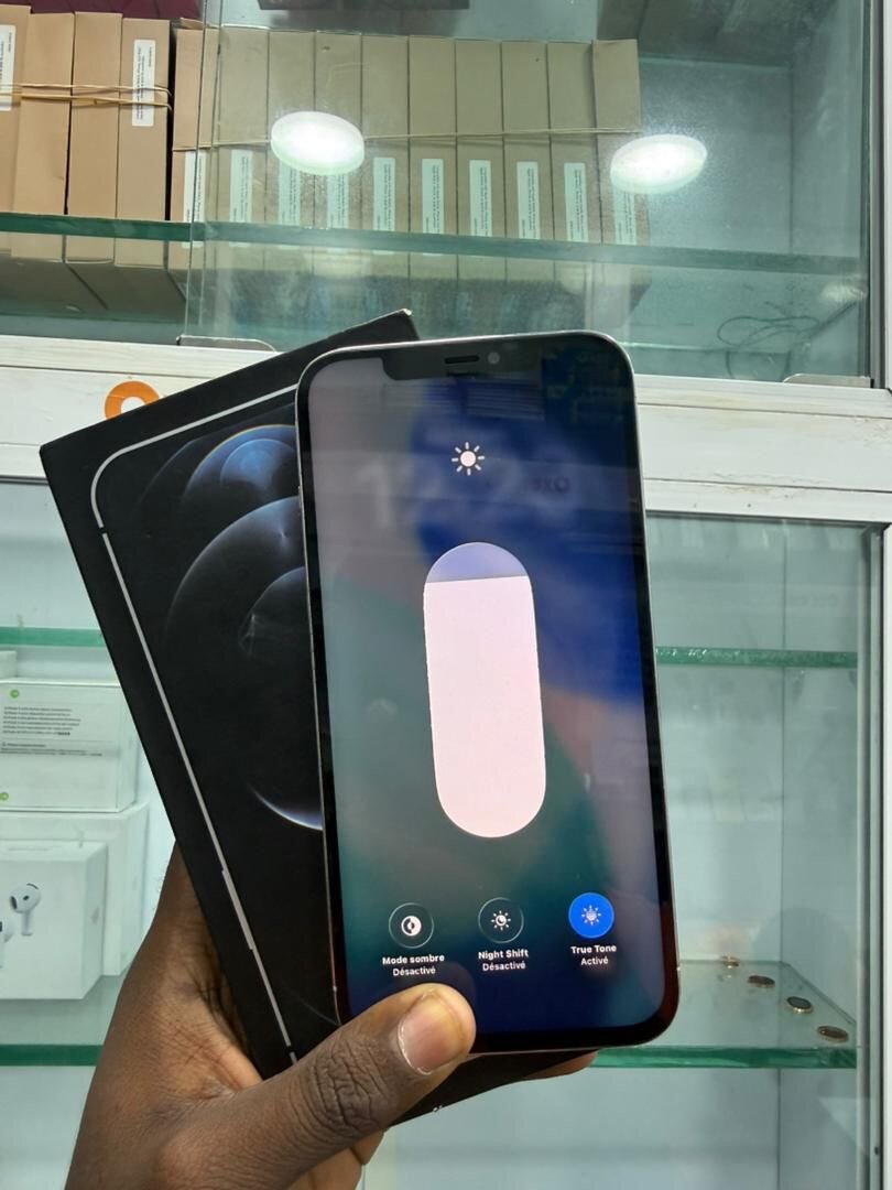 iPhone 12 Pro Max Blanc 256 Go