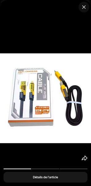 Câble de Charge Rapide 4 en 1