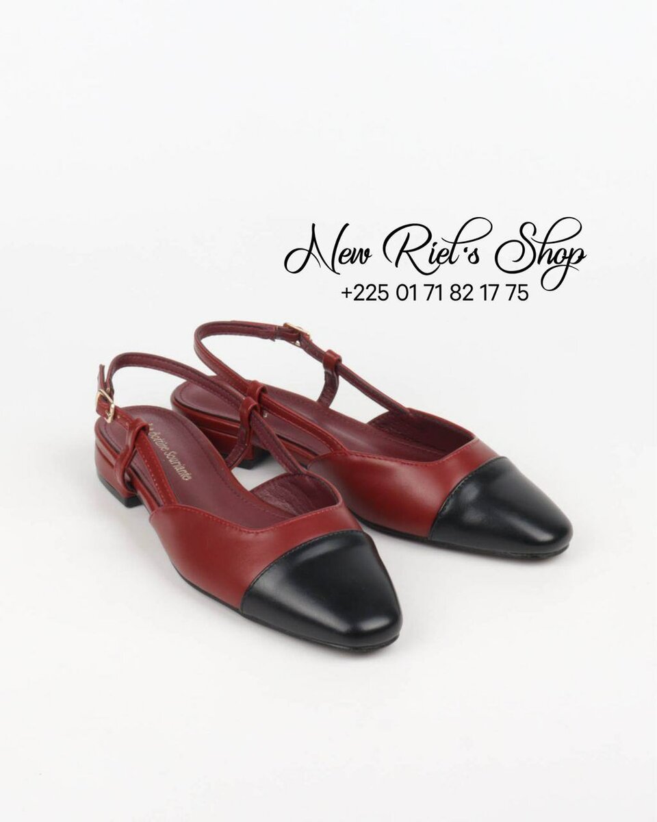 Ballerines bicolores élégantes