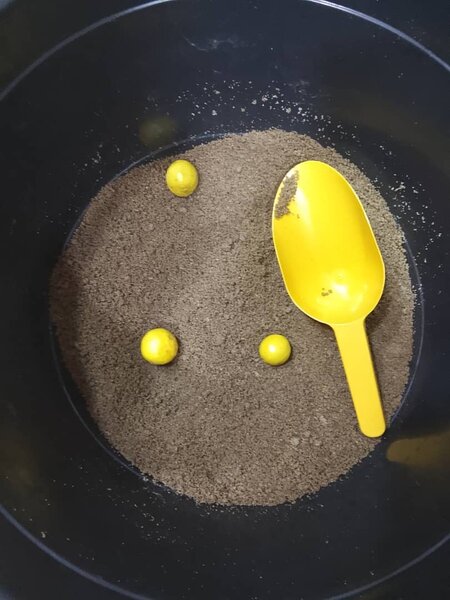 Farine de mil (grain de dêguê)