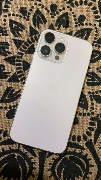 iPhone Pro Max Argent 256GB