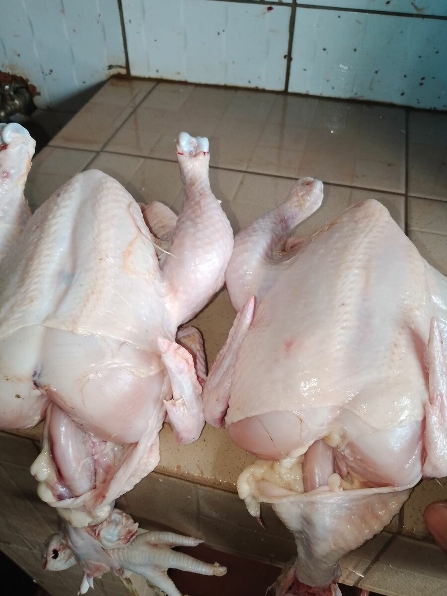 Poulet frais entier
