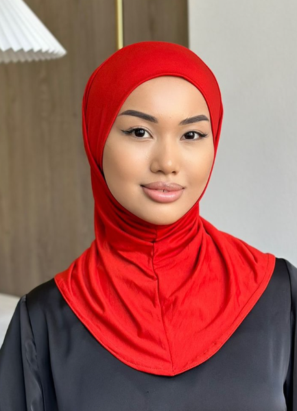 Модель ЗЕЙНА