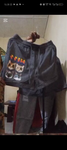 Shorts en coton imprimé chats