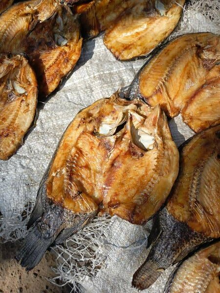 Semi dry moto moya fish, very tasty