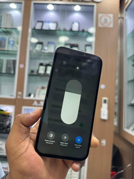 iPhone 12 Pro Max Bleu