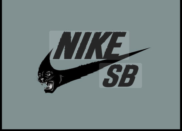 Sb house 👟🇺🇸