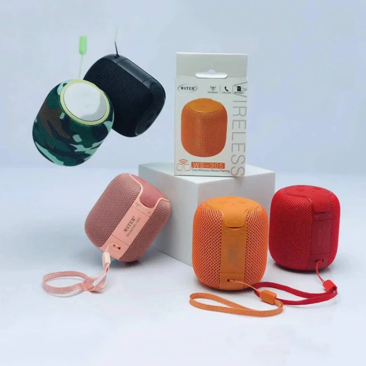 Enceinte Bluetooth Portable WS-305