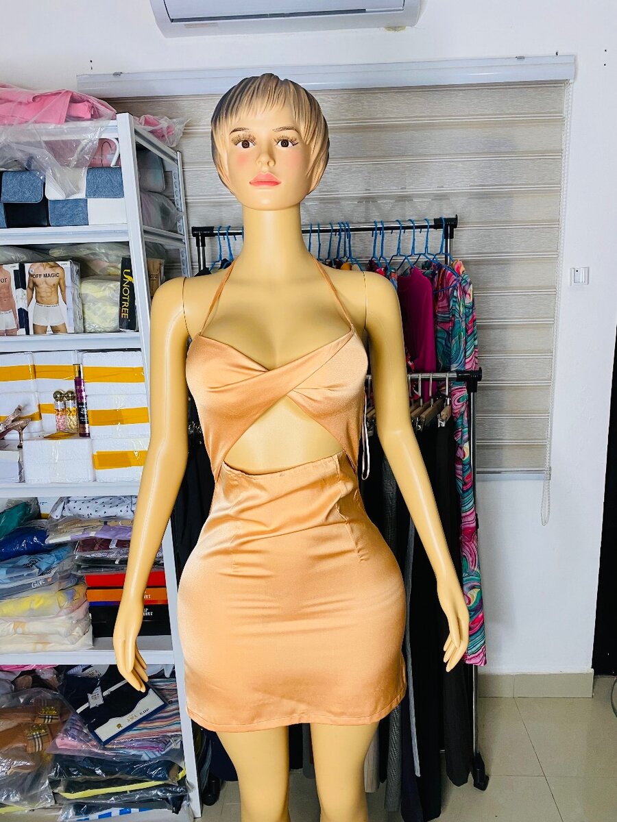 Ladies dress