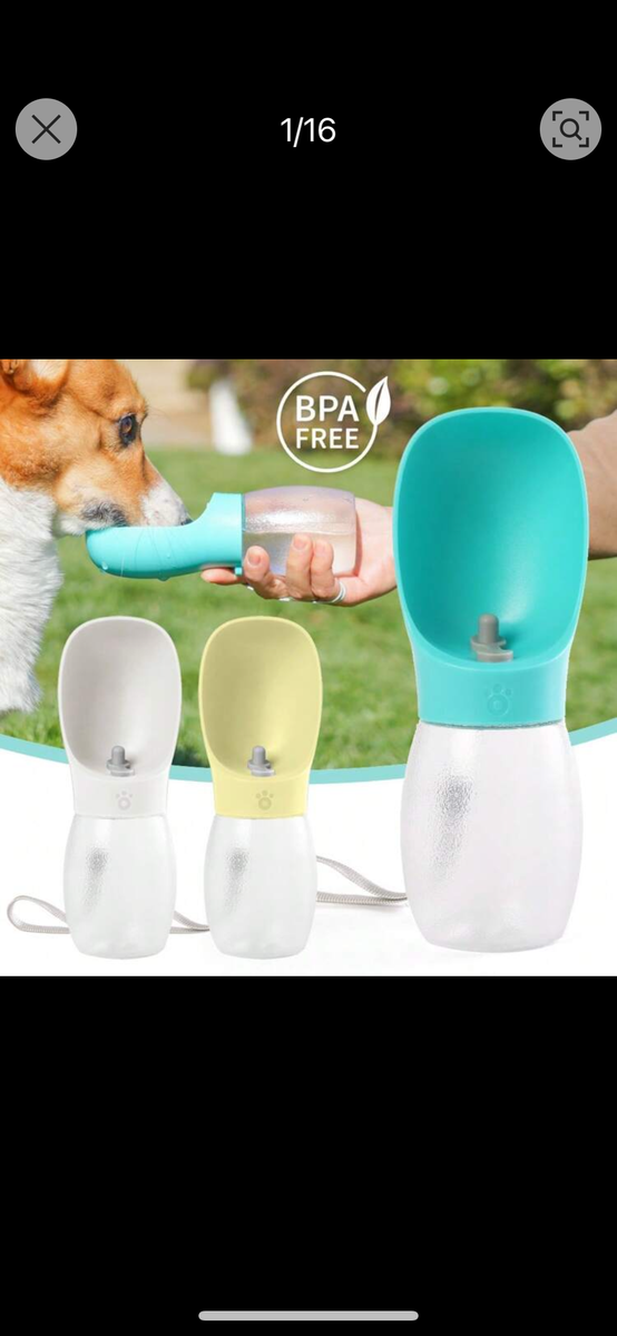 Gourde Portable pour Chiens
