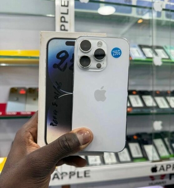 iPhone 13 Pro Max 256GB Argent