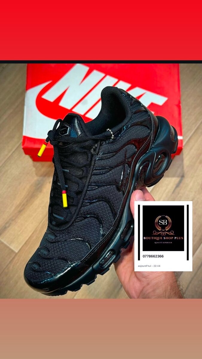 Basket nike tn authentique avec sa boîte