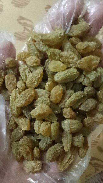 Yellow Raisins