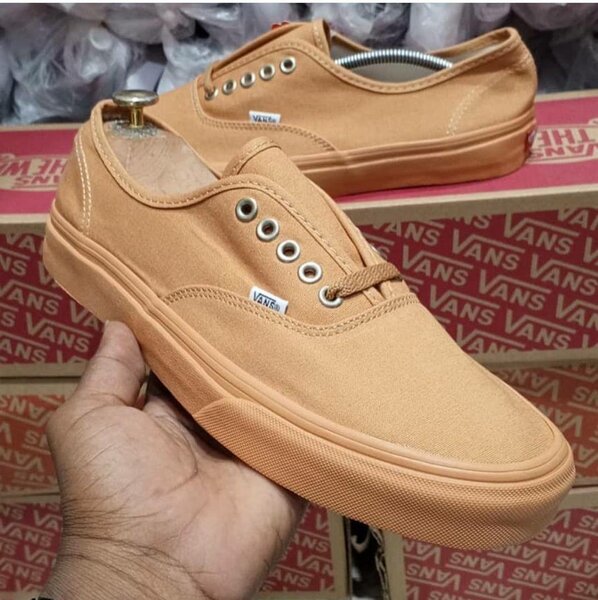 Chaussures Vans authentic