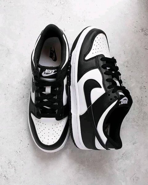Nike SBs