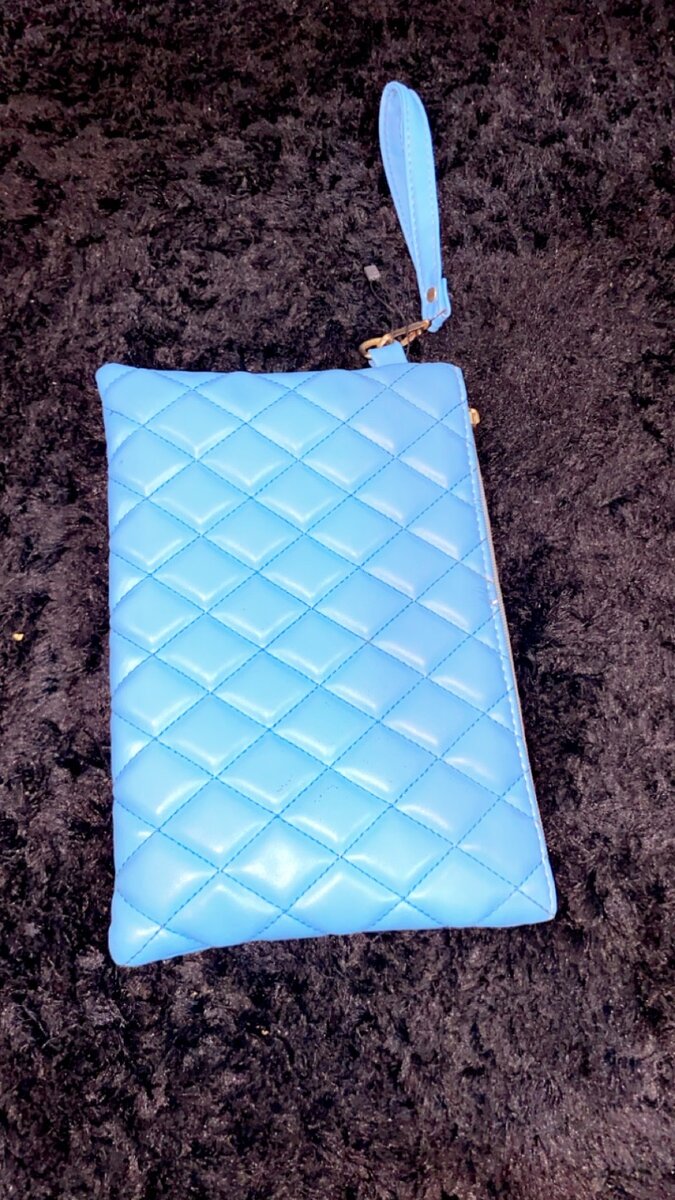Blue purse