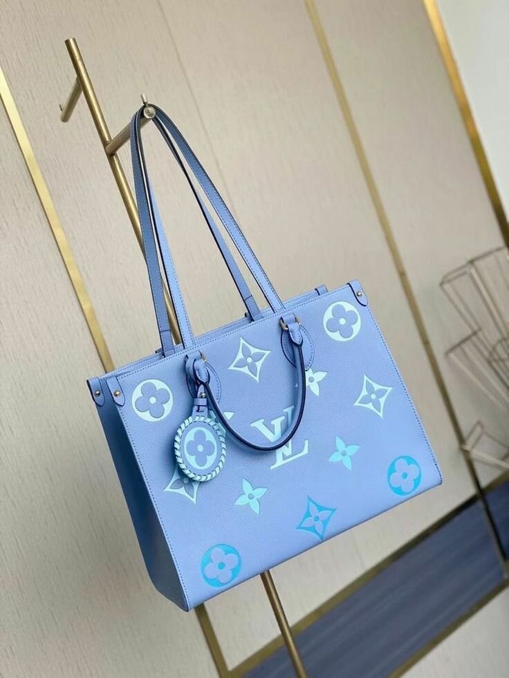 Ladies bag (Louis Vuitton)