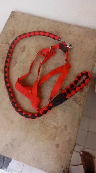 Laisse pour chien robuste et élégante