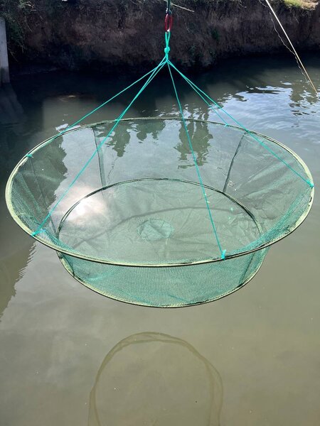 Сетка для ловли рыб