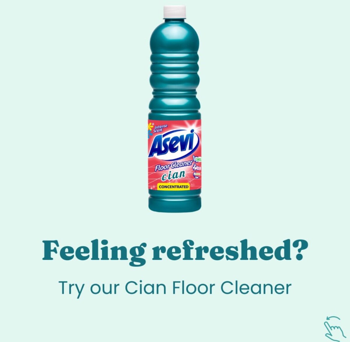 Asevi floor cleaner