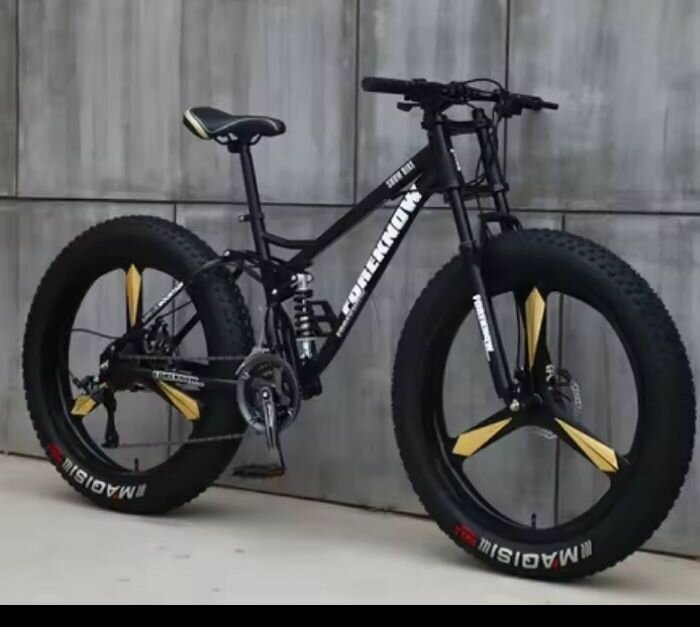 Vélo tout-terrain robuste