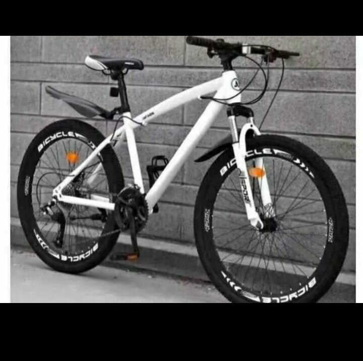 Vélo de montagne robuste