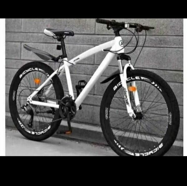 Vélo de montagne robuste