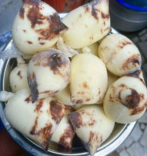 Delicious Glaces Artisanales