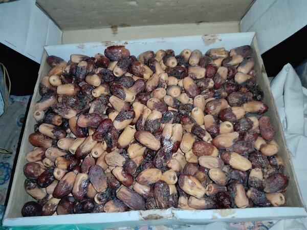 Mazzafti Dates.Irani dates,mebroom Saudia dates
