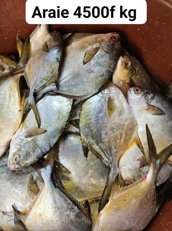 Kit soupe de pêcheurs