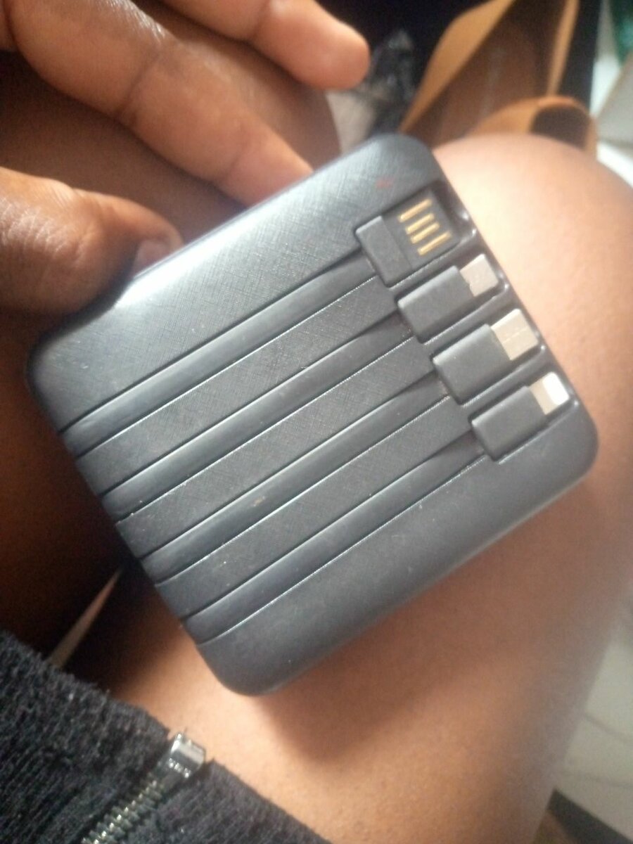 Lisa and Gary power banks