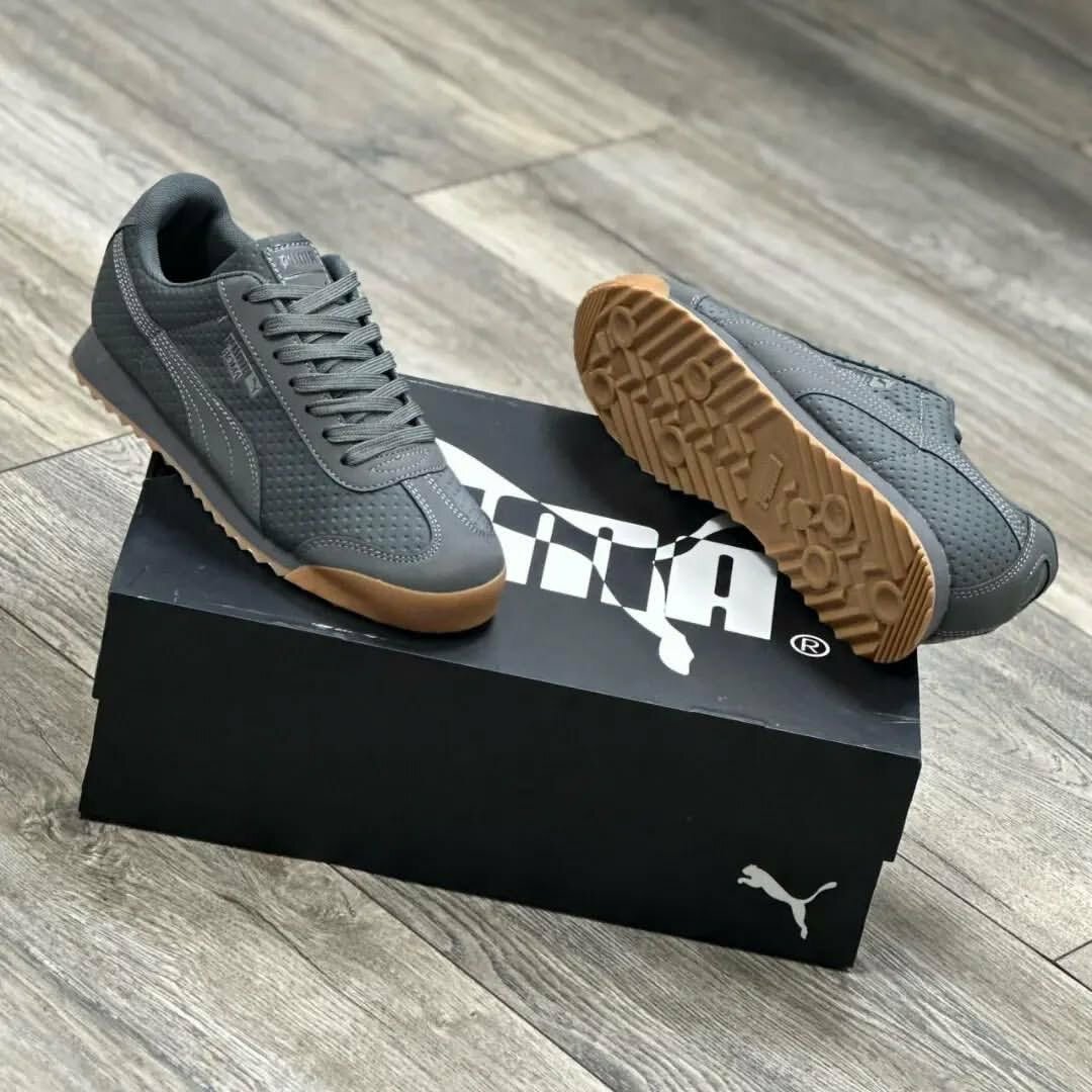 Puma roma