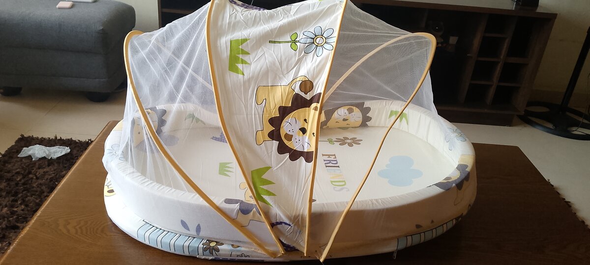 Bassinet and Rocker for sell ( comes with free bed net)