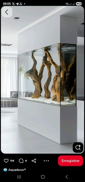 Aquarium décoratif moderne
