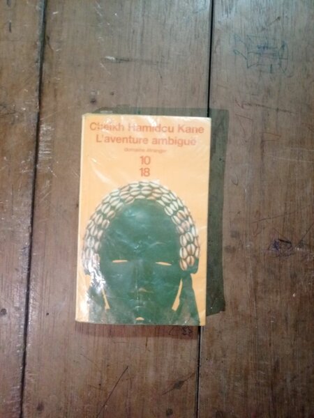 L'Aventure ambiguë par Kaine