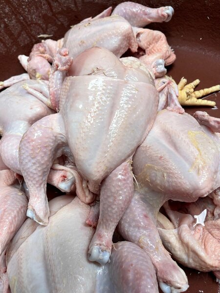 Poulet Frais Prêt à Cuisiner