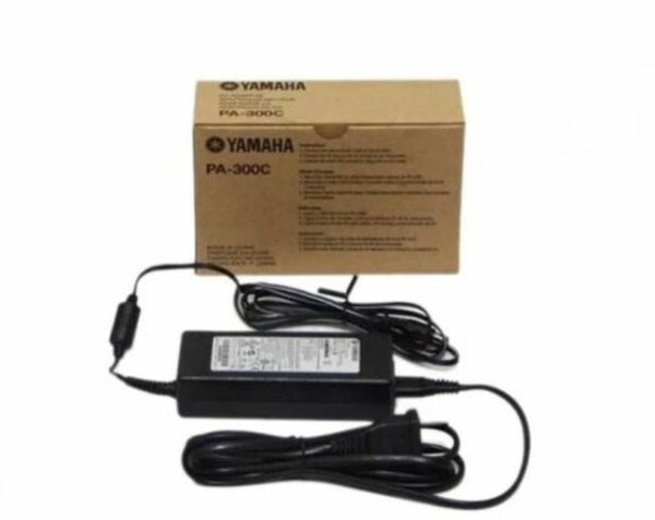 Transformateur pour piano sx