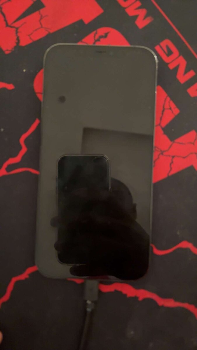 iPhone 12 Pro Max  Bleu